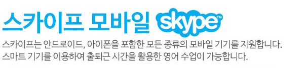 스카이프모바일