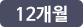 12개월