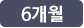 6개월