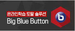빅블루버튼